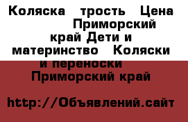 Коляска - трость › Цена ­ 2 000 - Приморский край Дети и материнство » Коляски и переноски   . Приморский край